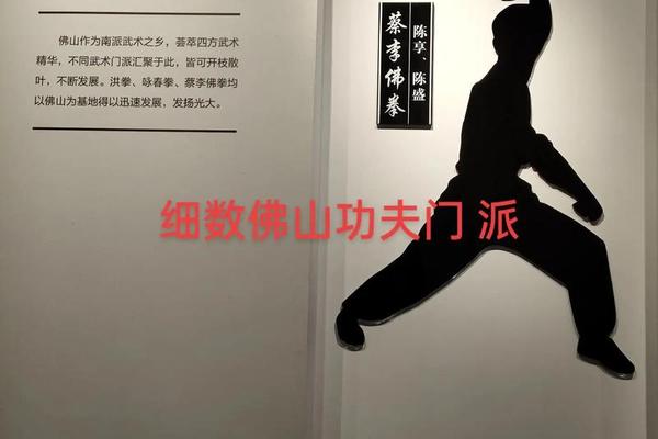 佛山武术文化介绍,武术的好处和意义