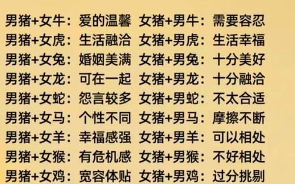 属猪是哪年出生的 属猪是哪年出生的