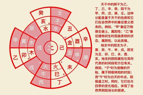 八字的五行属性