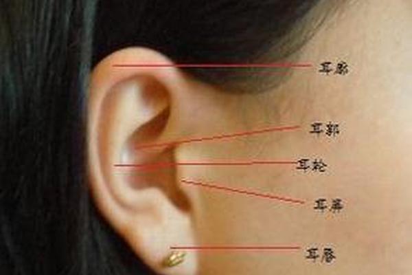 痣相上书;耳轮上有痣图解