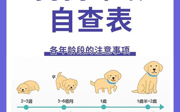 属狗的今年多大岁了大全 属狗的今年多大岁了大全