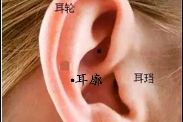 右耳朵耳垂有痣是佛相么-右耳朵有一颗痣代表什么