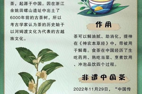 关于我国传统茶文化的介绍;茶文化的特点