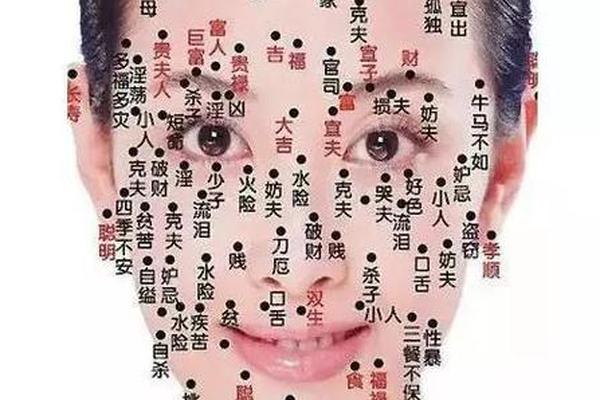 麻衣神相鼻翼有痣(女人痣相图解)