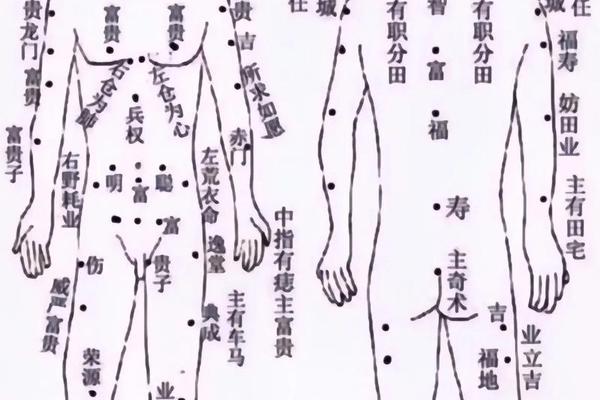 痣相简介(痣图解面相)