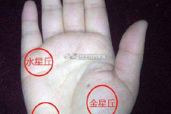 金星丘下的痣相—金星丘疼是什么预兆
