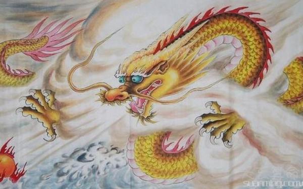 1988年是土龙还是木龙 1988年是土龙还是木龙