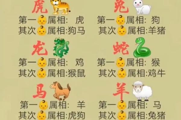 1972年鼠年今年注意那几个月