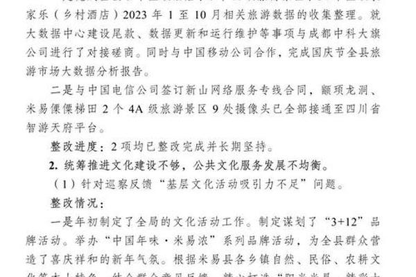 特色文化旅游村巡察监督重点(巡察报告中存在的重点问题)