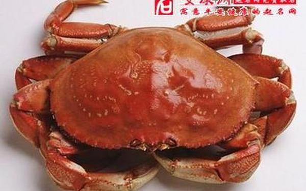 周公解梦女人梦见很多螃蟹,女人梦见好多螃蟹 周公解梦女人梦见很多螃蟹,女人梦见好多螃蟹