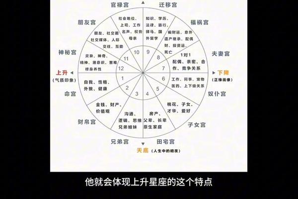 八字十二宫