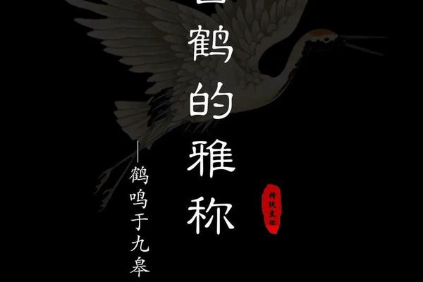 风水鹤老师痣相—仙鹤在风水中代表什么