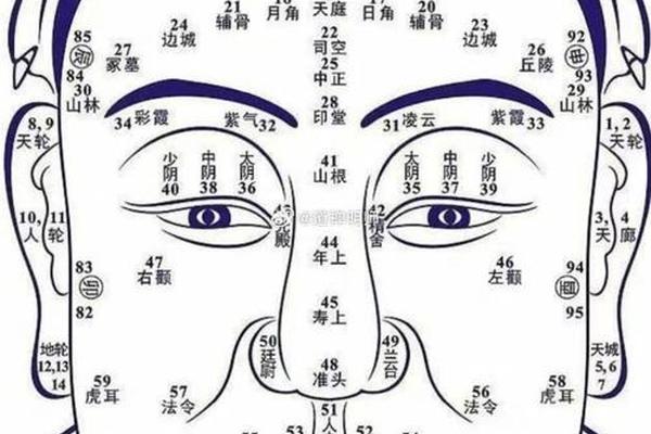 麻衣神相财帛宫有痣-财帛宫长痣到底好不好