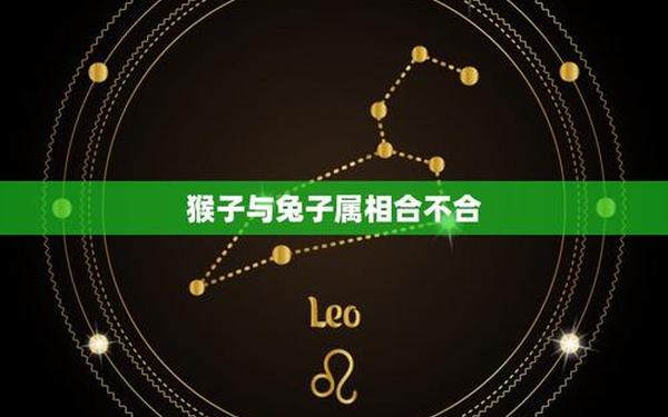 属猴和属兔合吗—猴和兔相克还是相合 属猴和属兔合吗—猴和兔相克还是相合