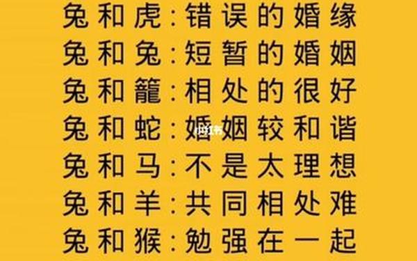 1999年兔女和什么属性配 1999年兔女和什么属性配