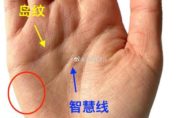 左手智慧线的痣相;女左手智慧线断开图解 左手智慧线的痣相;女左手智慧线断开图解