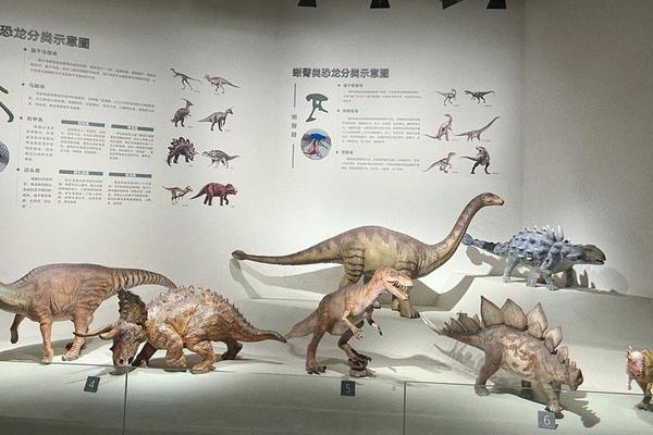 中国龙文化博物馆、恐龙园文旅集团