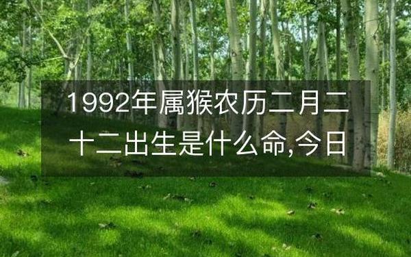 92年猴人一生的大劫(1992属猴劫难三次) 92年猴人一生的大劫(1992属猴劫难三次)