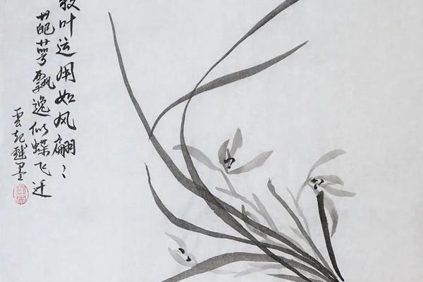 兰文化(兰文化绘画)