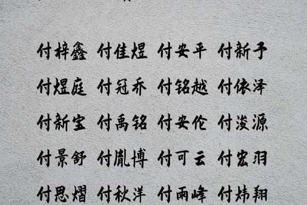 付姓男宝宝起名