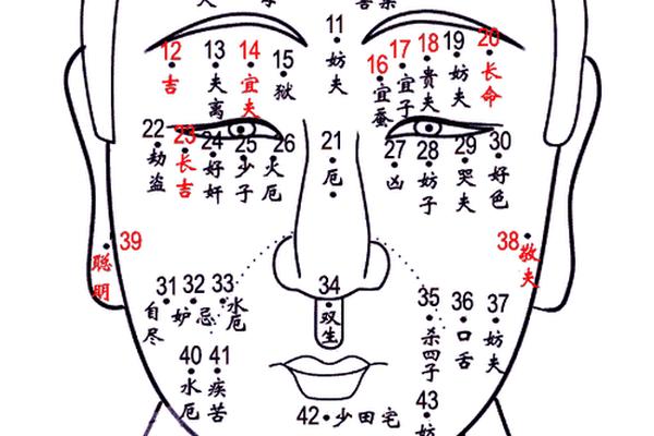 男痣相天(男人身上痣相大全图解)