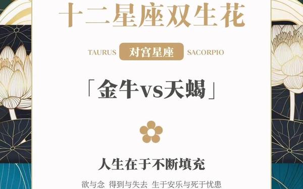 天蝎座和金牛座配对(天蝎座和金牛座配吗)