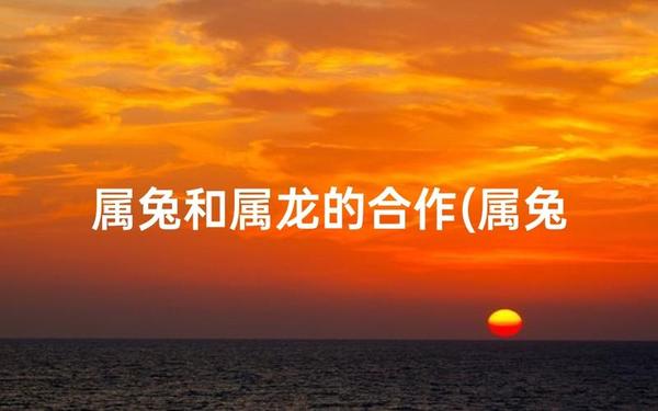 属兔与属龙的相配吗 属兔与属龙的相配吗
