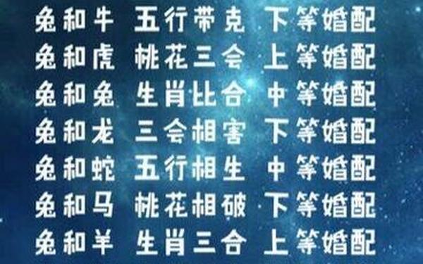 属兔和属龙工作搭档怎么样 属兔和属龙工作搭档怎么样