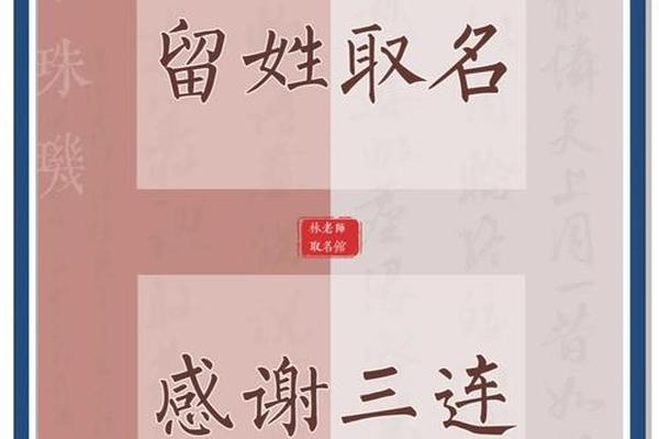 姓名张公子解析