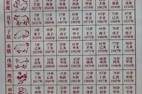 属鼠的犯太岁2023年怎么化解