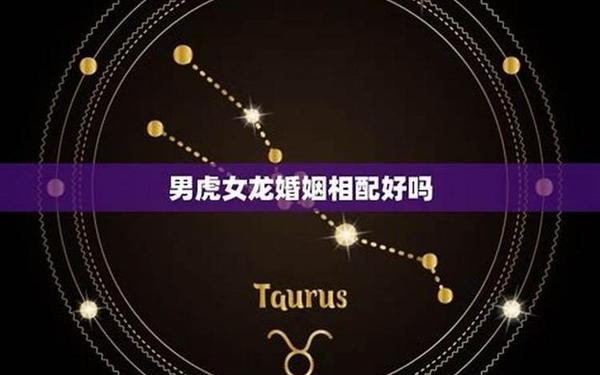 虎男龙女适合做夫妻吗(龙女不嫁虎男 下一句) 虎男龙女适合做夫妻吗(龙女不嫁虎男 下一句)