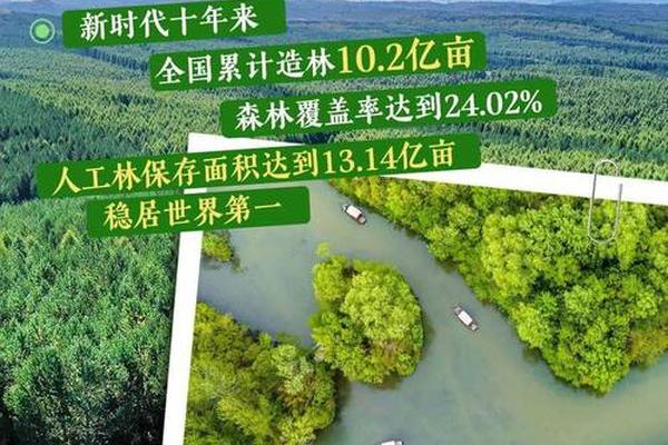 中国的文化输出(新时代的中国绿色发展)
