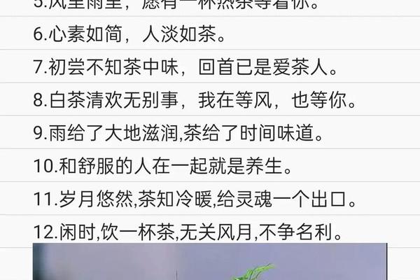 茶文化的经典句子简短精辟_一花一茶最火的一句