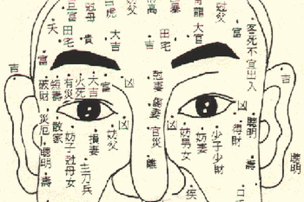 男痣相脸-男人脸部长痣子与命运图解 男痣相脸-男人脸部长痣子与命运图解