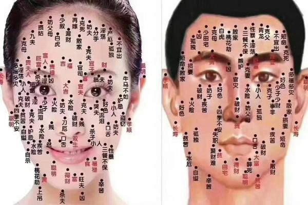 痣相占卜文案app(痣相大全详解)