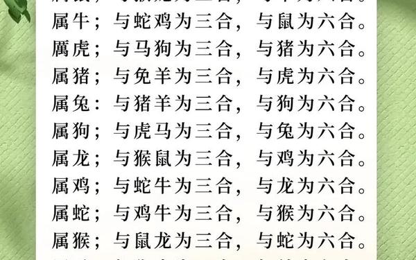 狗和鼠属相合不合 狗和鼠属相合不合