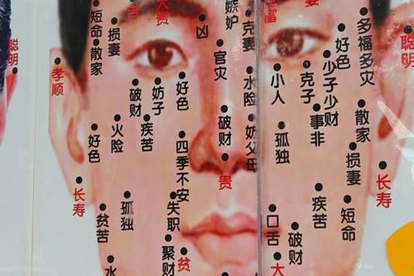 痣相男女图解大全大图-男人面部痣相最准图