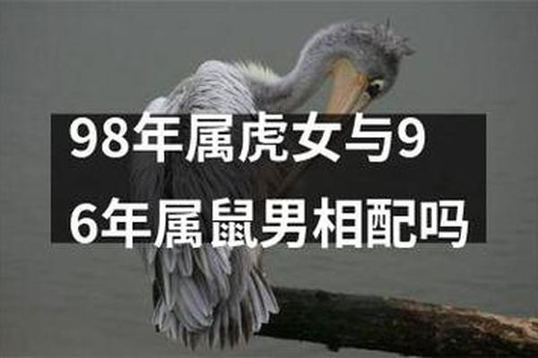 1998年虎女和1996年鼠男相配吗