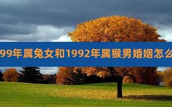 属猴的和属兔的可以合作吗,属猴和属兔工作伙伴合得来吗 属猴的和属兔的可以合作吗,属猴和属兔工作伙伴合得来吗