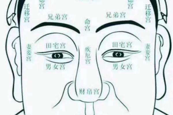 男人痣相鼻子有痣,男子鼻翼痣图解 男人痣相鼻子有痣,男子鼻翼痣图解