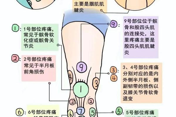 女人膝盖痣相相关命运—男人全身痣相图解命运