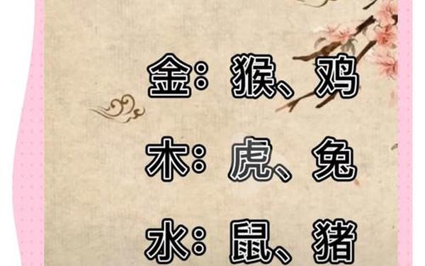 属猪都是哪年出生列表-猪不合的三个属相 属猪都是哪年出生列表-猪不合的三个属相