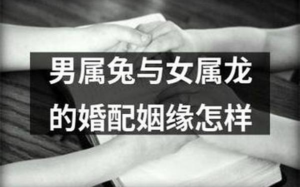 属兔和属龙的人可以在一起吗 属兔和属龙的人可以在一起吗