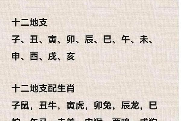 96年属鼠女在2025年每月运势