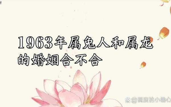 属兔和属龙能过到老吗 属兔和属龙能过到老吗