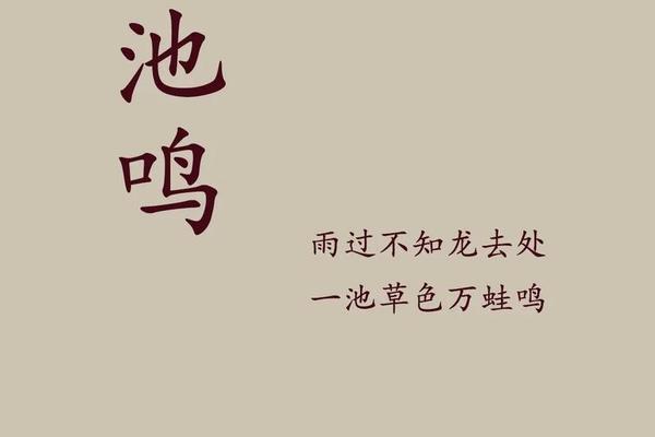 文青竹姓名打分