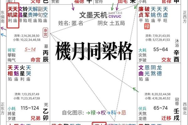天阳玄机躯体痣相、天阳玄机的全部视频