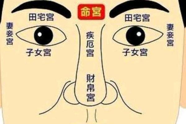 麻衣相法痣的;麻衣神相女人面痣图解