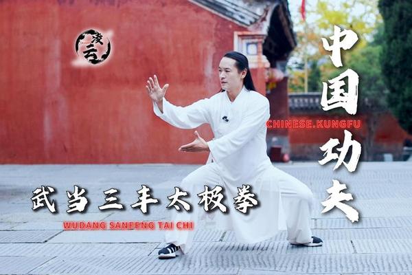 太极文化宣传视频;武当太极养生功视频