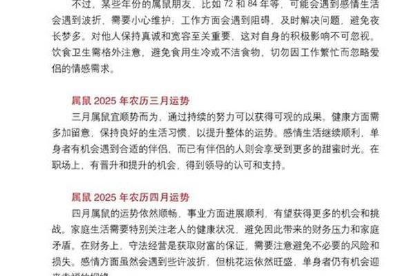 属鼠2025年整体运势及每月运程